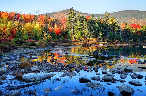 istock Fall Foliage in the White Mountains National Forest 187181280