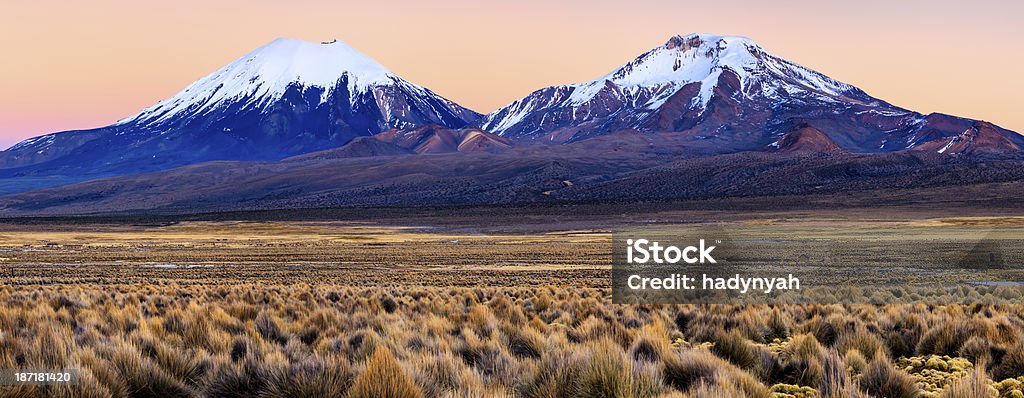 Wschód słońca nad Parinacota Volcano w Parque Nacional Sajama, Boliwia - Zbiór zdjęć royalty-free (Altiplano)