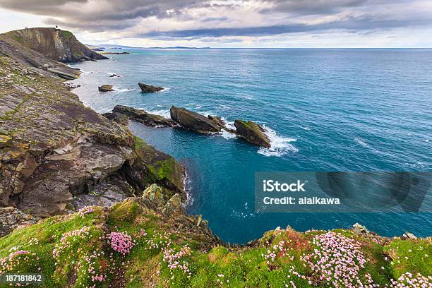Ilha Isolado Com Deslumbrante Primeiro Plano - Fotografias de stock e mais imagens de Ilhas de Shetland - Ilhas de Shetland, Lerwick, Escócia