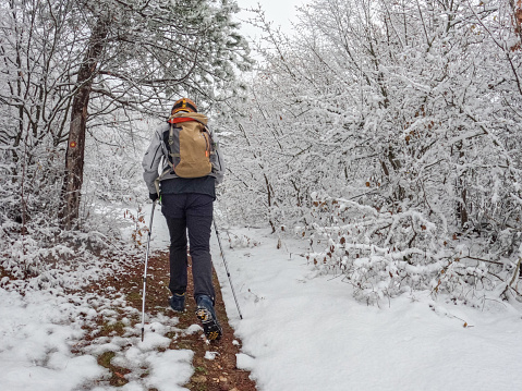 Rear view shot of one man with trekking poles and backpack hiking in snowy winter forest