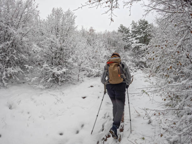 istock Man hiking in snowy woods 1871821482