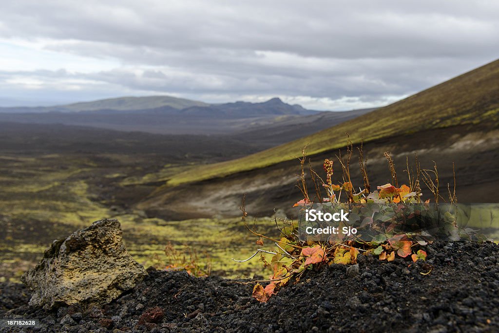 Volcán vegetación - Foto de stock de Monte Hekla libre de derechos