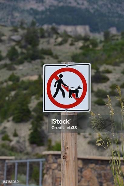 No Dog Walking Sign Stock Photo - Download Image Now - Dog, Dog Walking, Forbidden
