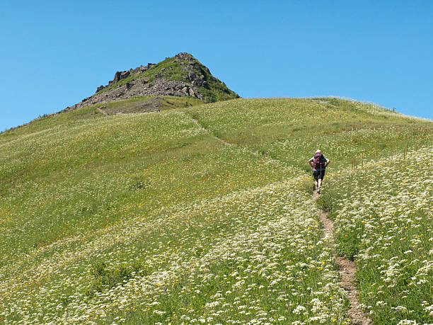istock Hiking thru Wildflowers 187183091