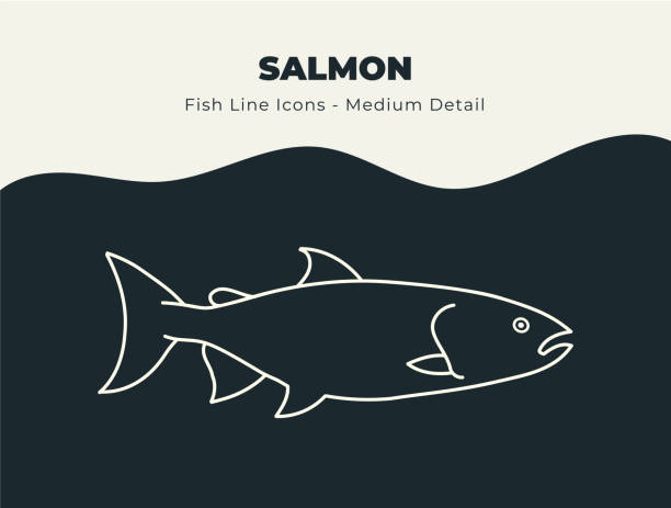 Salmon Ocean and River Fish Line Icon Set. Dive into a Sea of Creativity with an Abundance of Fin-tastic Fish Stock Vectors, Offering a Bounty of Scales, Fins, and Aquatic Marine Life vector art illustration