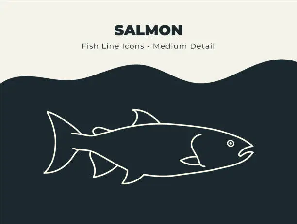 Vector illustration of Salmon Ocean and River Fish Line Icon Set. Dive into a Sea of Creativity with an Abundance of Fin-tastic Fish Stock Vectors, Offering a Bounty of Scales, Fins, and Aquatic Marine Life