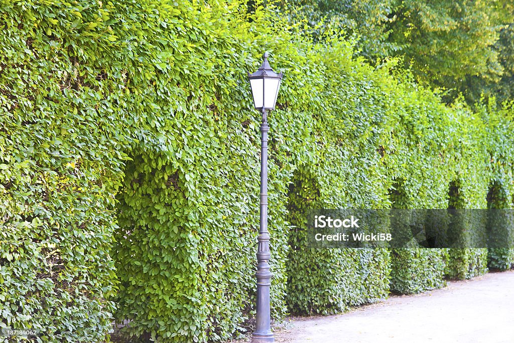 Hedge labirinto de City Park - Foto de stock de Arbusto royalty-free