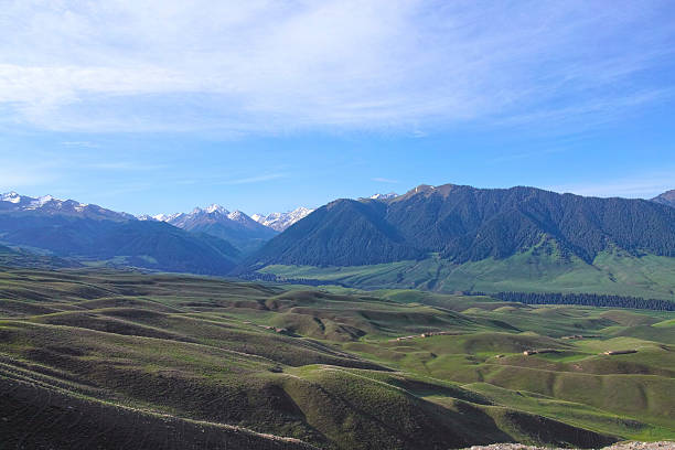 istock Kalajun grassland in Xinjiang 187184846