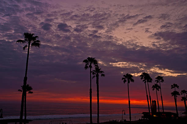 Beautiful California Sunset in San Clemente with Palm Trees stock photo