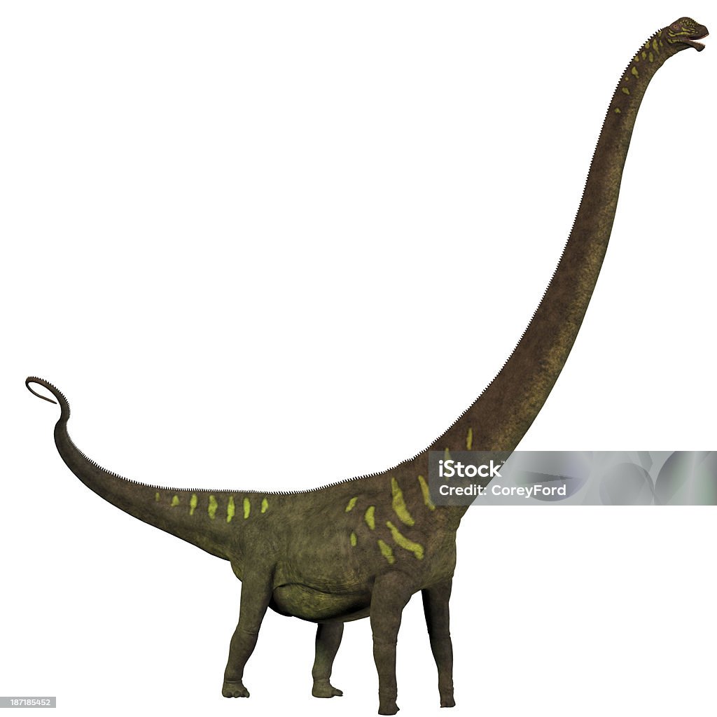 Mamenchisaurus youngi 背 - ティタノサウルスのロイヤリティフリーストックフォト