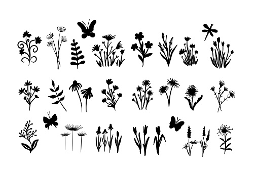 Hand drawn sketch of flowers and insects.Black silhouettes of herbs, flowers and herbs isolated on a white background