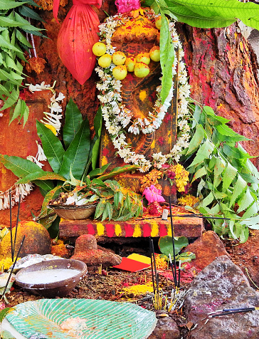 Close-up view of stone carved snake statue decorated and being offered prayers by Indian Hindu devotees,under a neem tree