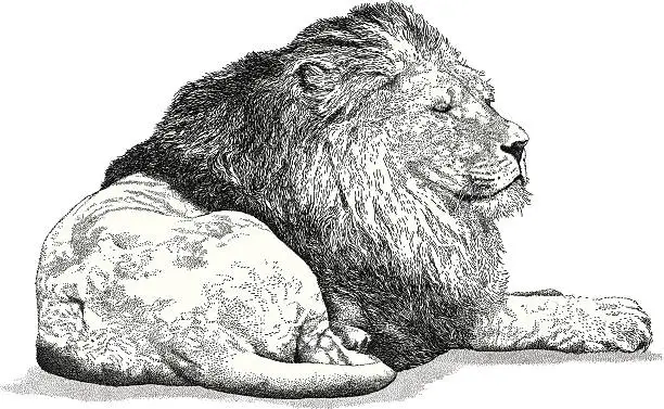Vector illustration of Snoozing Lion