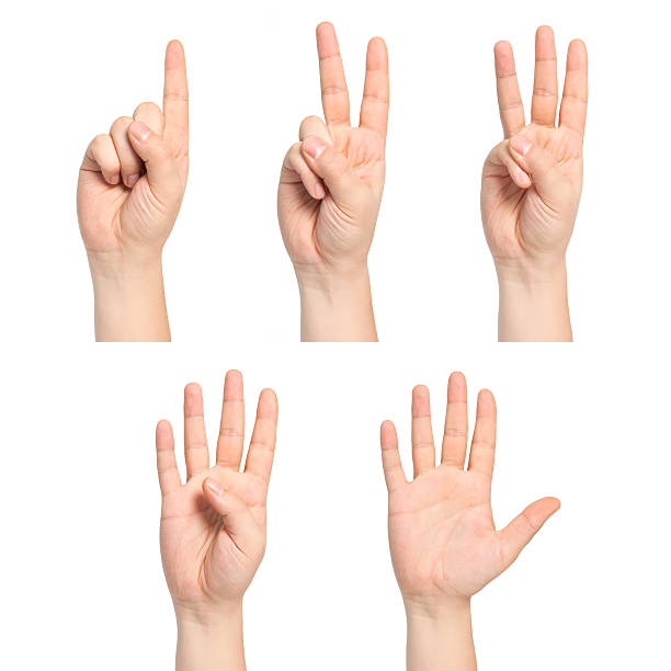 istock isolated man hands show the number 187187812
