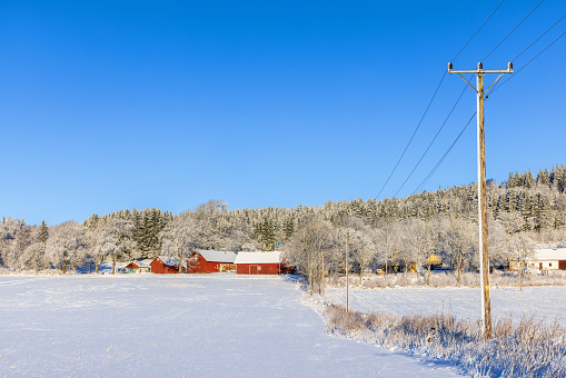 Red barn surrounded by trees in the snow