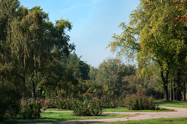istock park at autumn morning 187188083