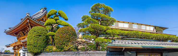 Carefully cultivated topiary trees overlooking homes in downtown Osaka, Japan.