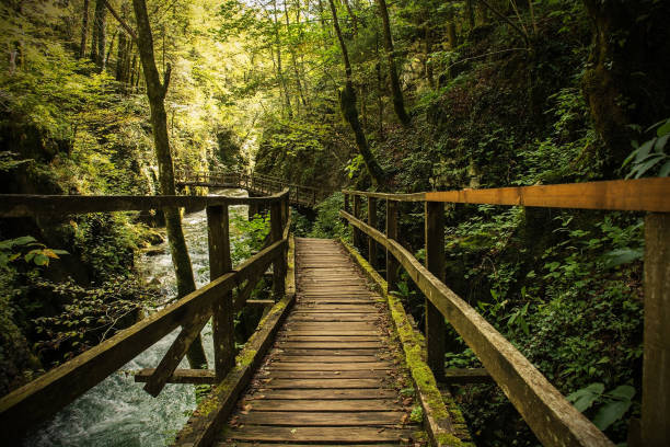 istock Wooden Walkway in Kamacnik Kanjon, Croatia 1871908287