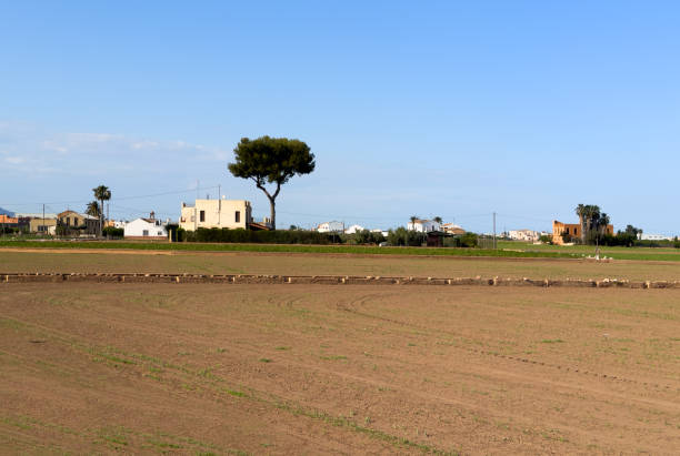 istock Soil Tillage and sowing seeds. 1871935000