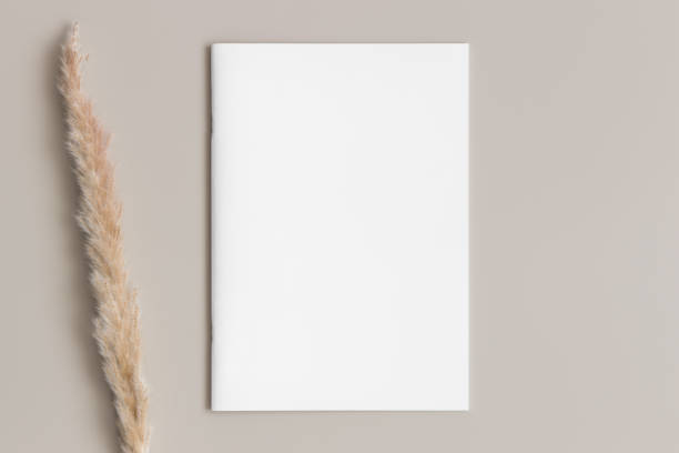 istock Magazine mockup with a pampas on the beige table. 1871960126