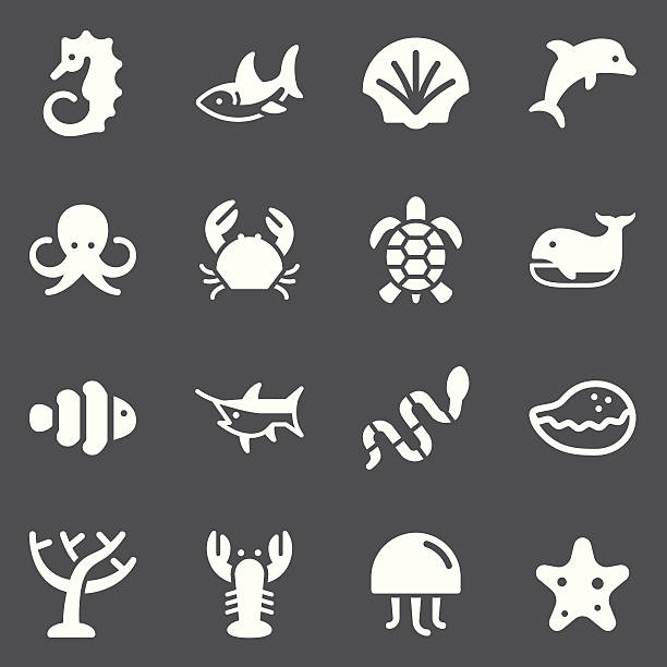 illustrazioni stock, clip art, cartoni animati e icone di tendenza di set di icone di vita marina/bianco serie - cavalluccio marino