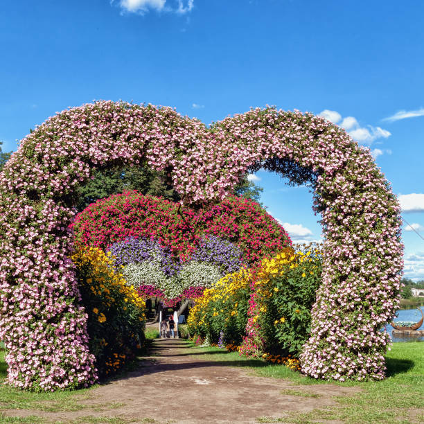 istock flower installation outdoors 1871975238