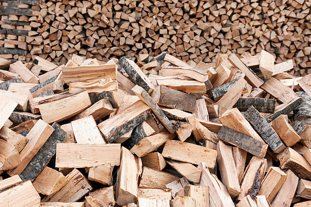 istock Bunch of wooden logs 187197600