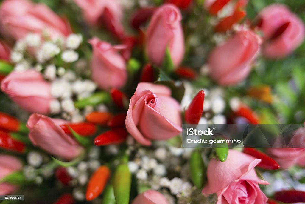 Flower bouquet - Pink roses and peppers A close-up view of a bouquet of pink roses and peppers Anniversary Stock Photo
