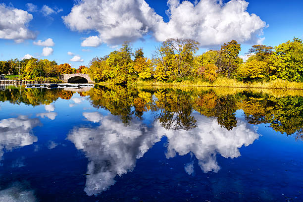This image features many trees, a bridge, and Cayuga Lake along Stewart Park. The picture was taken during Fall in mid-October of 2017. There is a reflection on the water of the trees and the bridge.