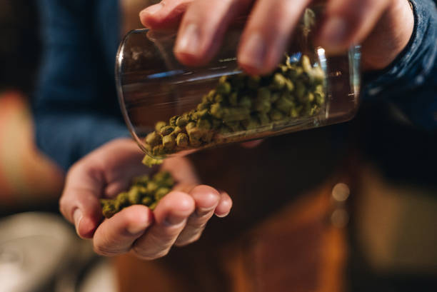 Close-up of man pouring hops on a microbrewery stock photo