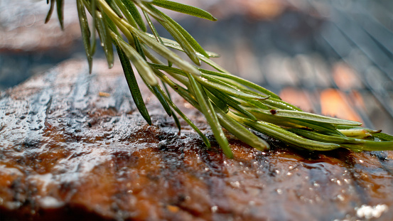 Close-up of fresh rosemary on roasted meat kept on barbecue grill.