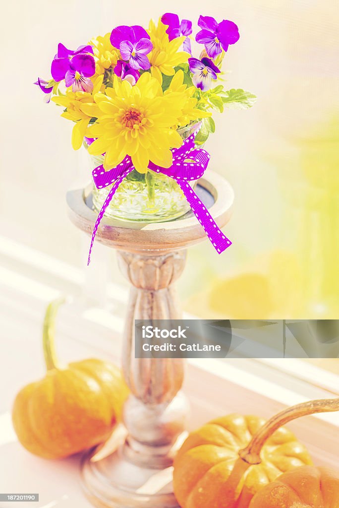 Window Sill Simply Decorated for Thanksgiving Chrysanthemums and Miniature Pumpkin in Warm Window Light Arrangement Stock Photo