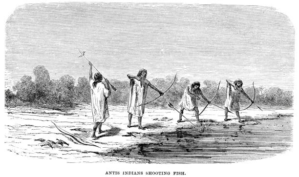 antis индейцев фотосъемка рыба - native american illustrations stock illustrations