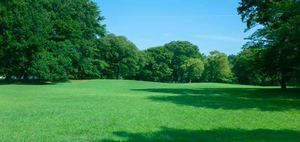 istock Green Garden banner 1872041889