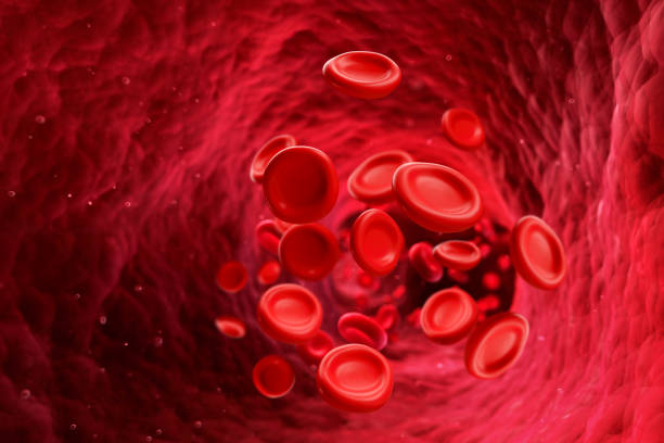 globuli rossi che scorrono nel vaso arterioso - blood red blood cell blood cell blood sample foto e immagini stock