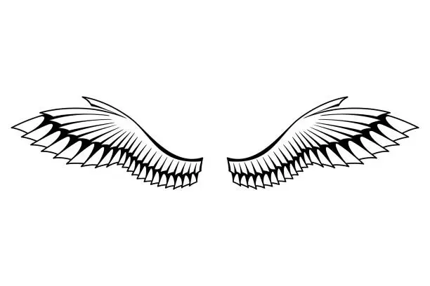 Vector illustration of Wings sketch. Stylized birds wings. Hand drawn contoured stiker wing in open position. Vector design elements in coloring style