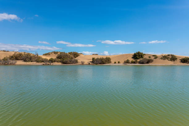 istock Lagoon and dunes, Maspalomas, Gran Canaria 1872094063