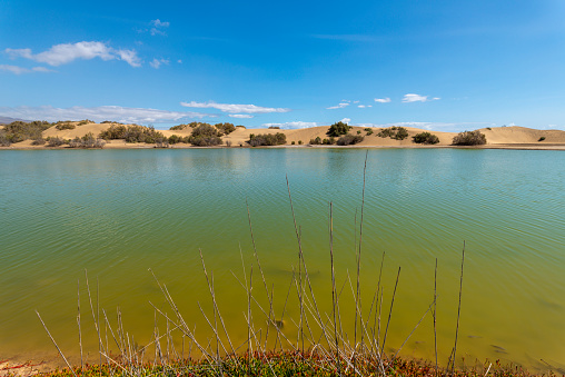Brackish water lagoon and blue sky with some clouds, Maspalomas, Gran Canaria, Canary Islands