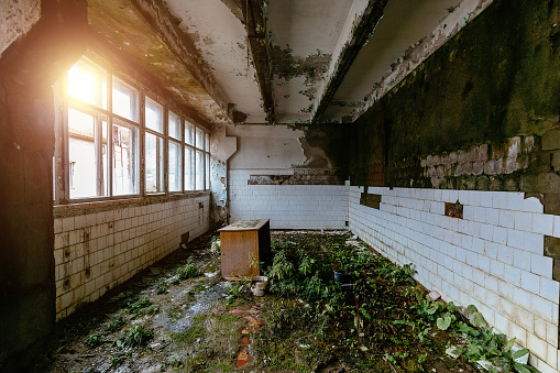 Overgrown by plants old abandoned building interior.