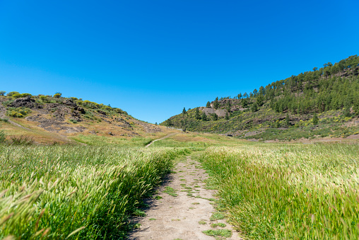 Landscape at the foot of the volcano and jeep Safari on the Gran Canaria island.