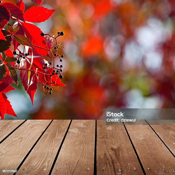 Pusty Drewnianym Pokładem Tabela I Czerwony Bluszcz - zdjęcia stockowe i więcej obrazów Bluszcz