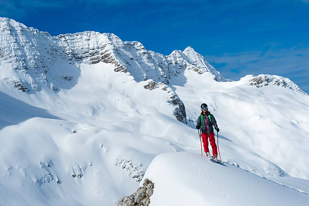istock Free Ride Skier Posing in the Mountains 187213901