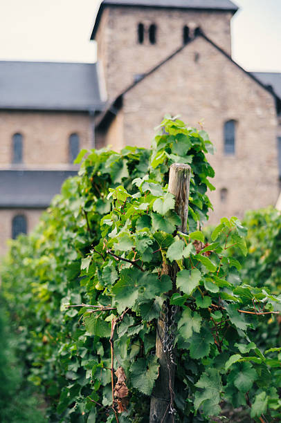 basílica sankt ägidius na alemanha - mittelheim - fotografias e filmes do acervo