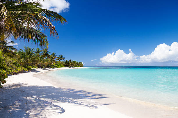 istock Flamenco Beach on Culebra Island, Puerto Rico 187217313