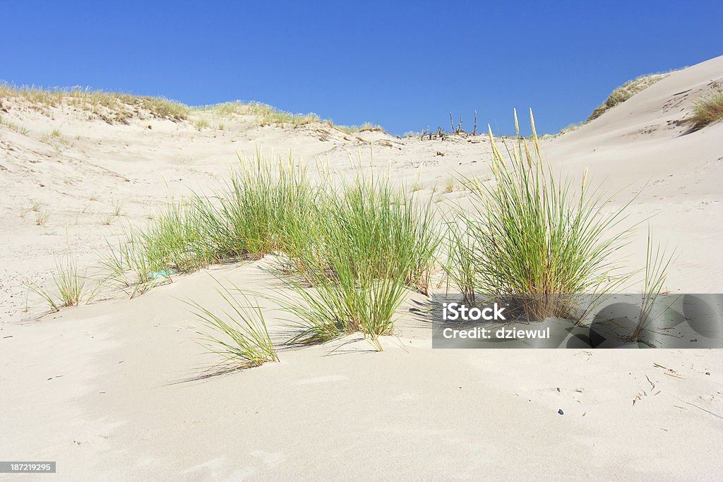 Dunas em Slowinski National Park, Polônia - Foto de stock de Areia royalty-free