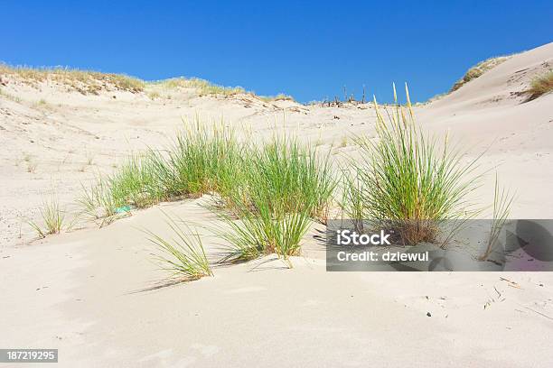 Foto de Dunas Em Slowinski National Park Polônia e mais fotos de stock de Areia - Areia, Armação de Construção, Azul