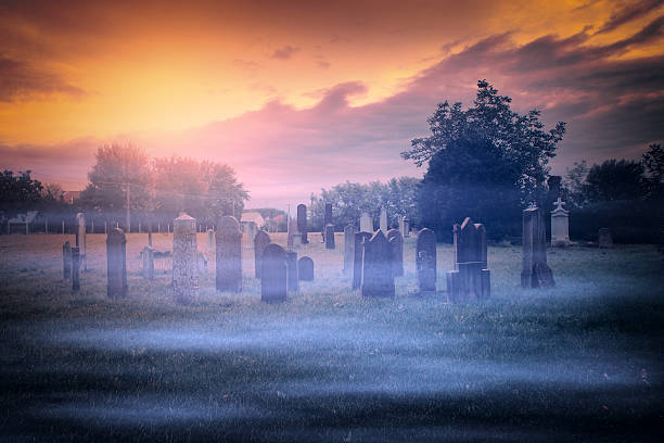 istock Spooky cemetery in the forest 187219401