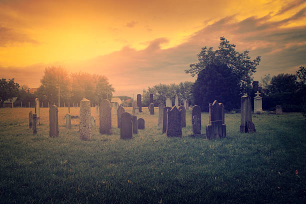 istock Spooky cemetery in the forest 187219483