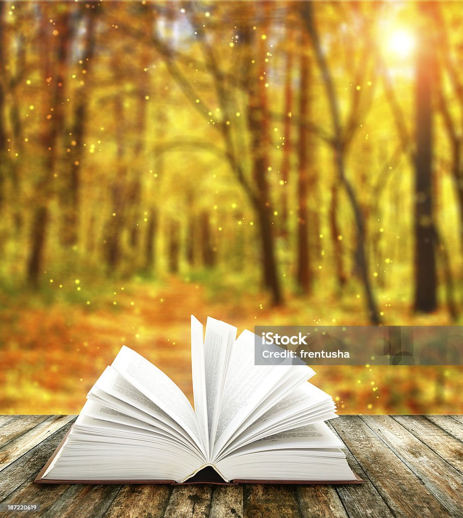Magic book Book of nature on autumn forest background Autumn Stock Photo