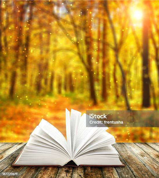 Magic Book Stock Photo - Download Image Now - Autumn, Book, Care